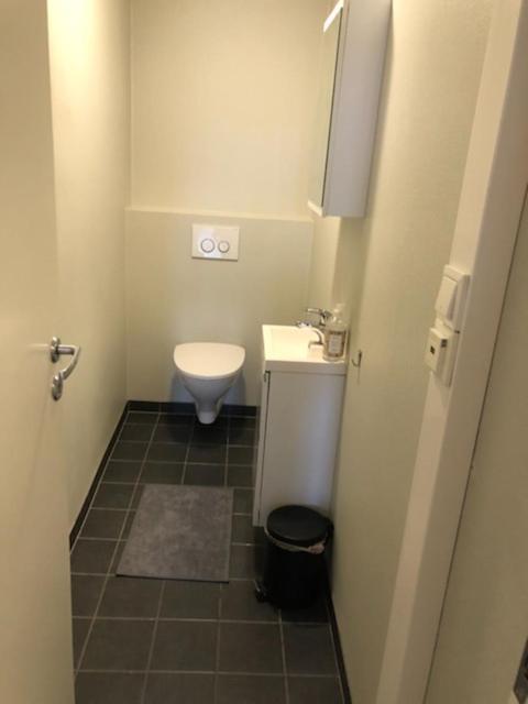 Vetrlidsalmenningen Appartement *